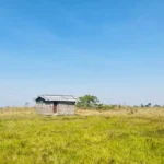 Assam Government Launches Mission Basundhara 3.0: A Comprehensive Guide for Farmers and Landowners
