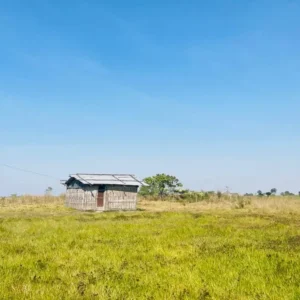 Read more about the article Assam Government Launches Mission Basundhara 3.0: A Comprehensive Guide for Farmers and Landowners