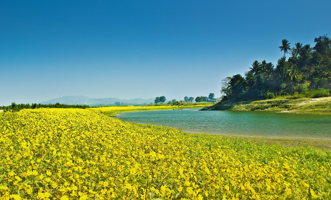 Read more about the article Exploring Majuli: A Journey to India’s Enchanting River Island