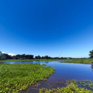 Read more about the article Demography of Majuli: A Detailed Overview