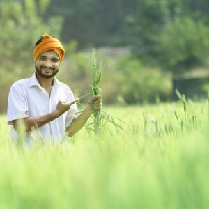 Read more about the article PM Kisan Sanman Nidhi: A Lifeline for Indian Farmers