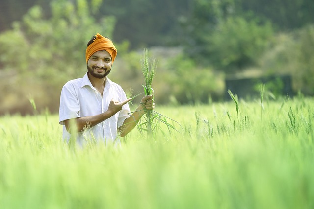 You are currently viewing PM Kisan Sanman Nidhi: A Lifeline for Indian Farmers